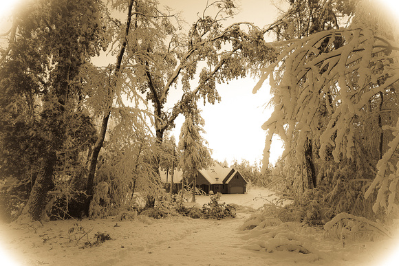 Elagane in Photojournalism