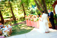 Vitaliy&Olya Wedding 7-9-15 California (candid)